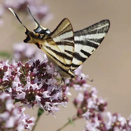 Casa Do Vale De Cerdeiras