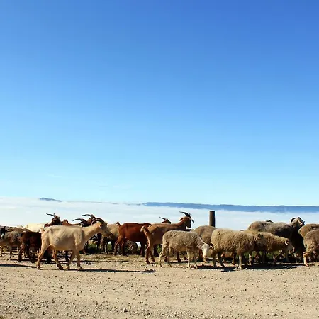Casa Do Vale De Cerdeiras Ancede