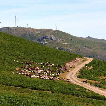 Willa Casa Do Vale De Cerdeiras Ancede