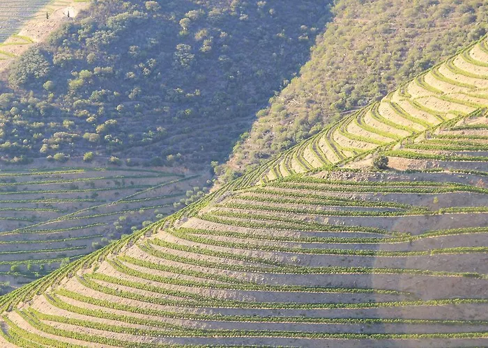 Casa Do Vale De Cerdeiras Ancede