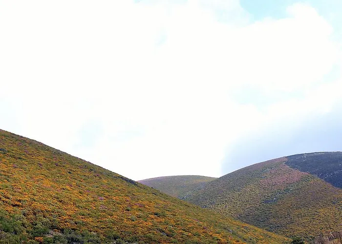 Casa Do Vale De Cerdeiras Ancede