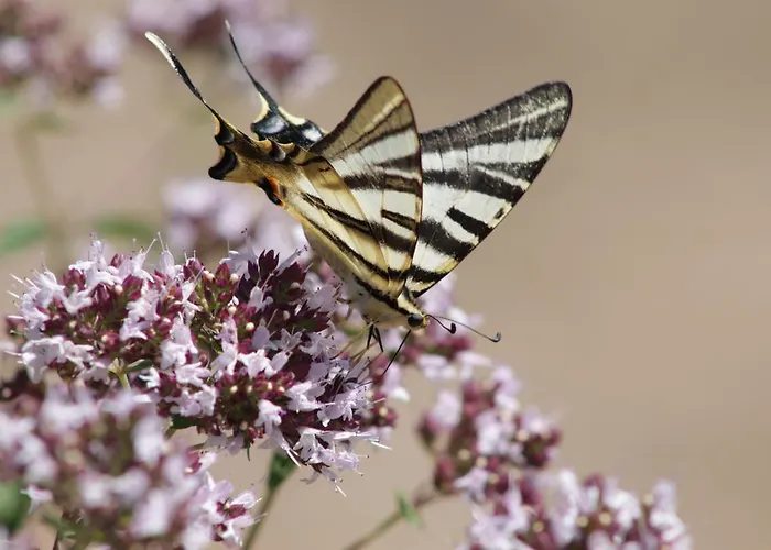 Casa Do Vale De Cerdeiras