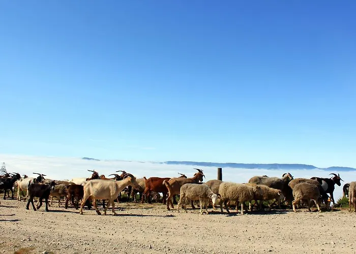 Casa Do Vale De Cerdeiras Ancede