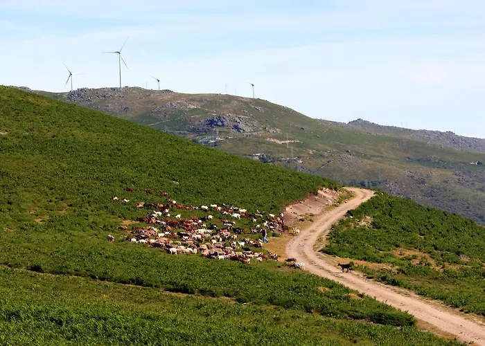 Villa Casa Do Vale De Cerdeiras Ancede