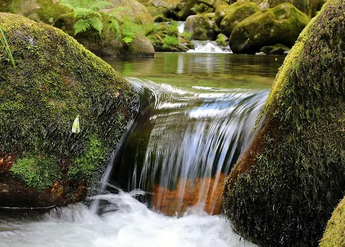 Villa Casa Do Vale De Cerdeiras *