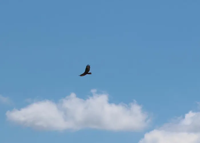 Villa Casa Do Vale De Cerdeiras