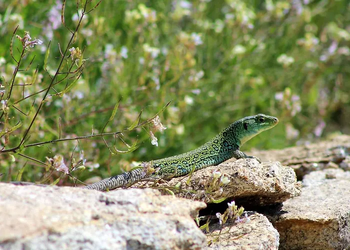 Casa Do Vale De Cerdeiras